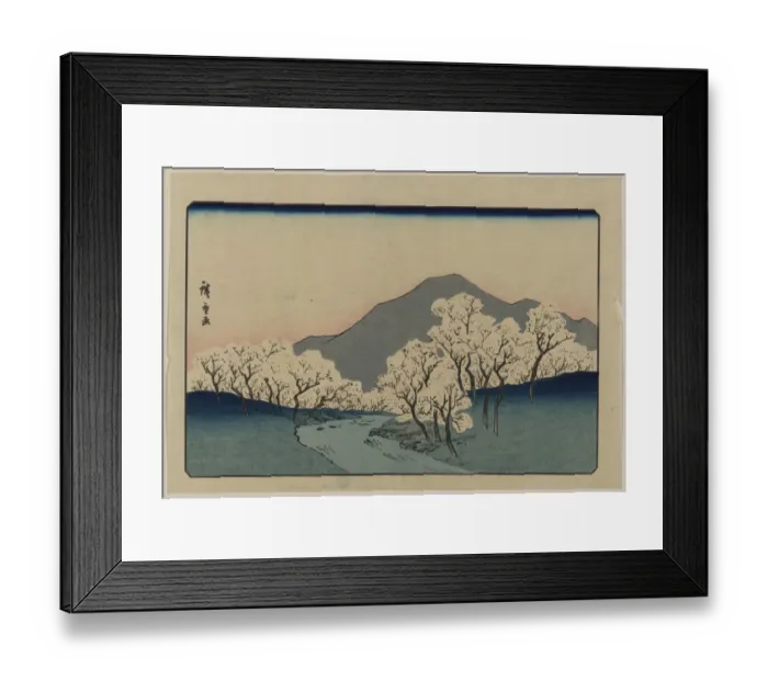 Framed Print : A Grove of Cherry Trees Framed Print : A Grove of Cherry Trees