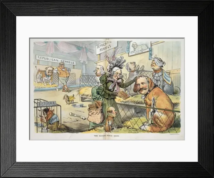 Framed Print : The national bench show Framed Print : The national bench show