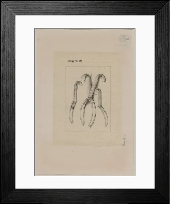 Framed Print : Forceps?. Drawing shows each half of obstetrical Framed Print : Forceps?. Drawing shows each half of obstetrical