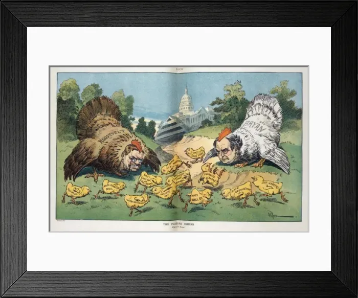 Framed Print : The puzzled chicks Framed Print : The puzzled chicks