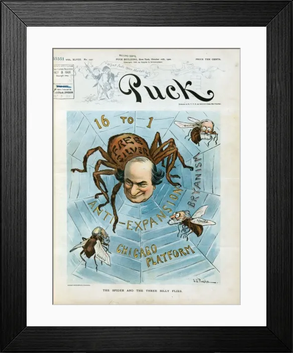 Framed Print : The spider and the three silly flies Framed Print : The spider and the three silly flies