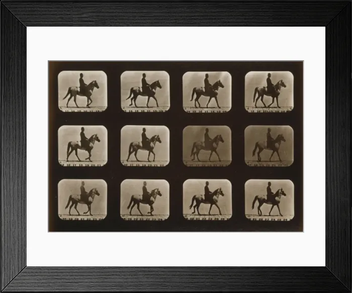 Framed Print : Horses. Walking Framed Print : Horses. Walking