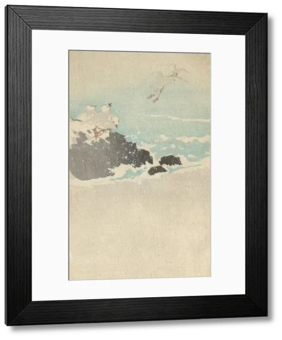 Framed Print : Plovers over waves Framed Print : Plovers over waves