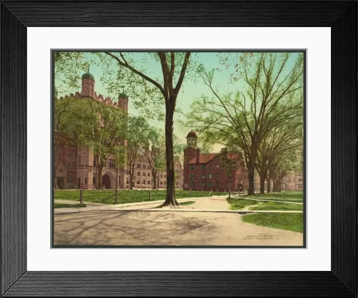 Framed Print : Phelps Hall and Lyceum, Yale College Framed Print : Phelps Hall and Lyceum, Yale College