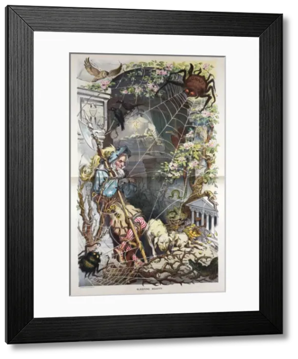Framed Print : Sleeping beauty Framed Print : Sleeping beauty