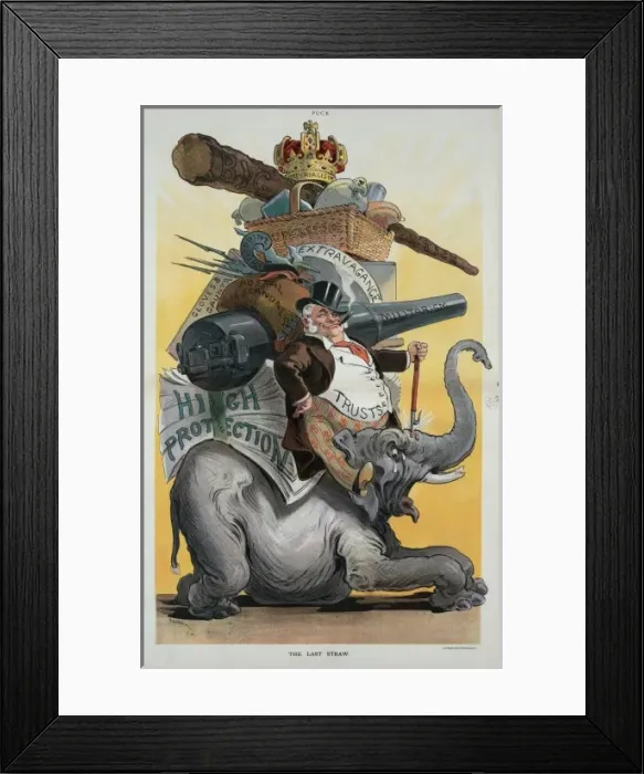 Framed Print : The last straw Framed Print : The last straw