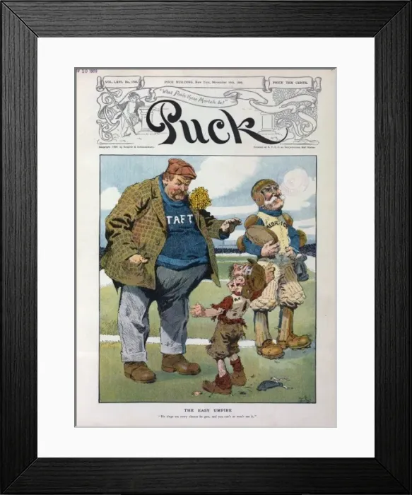 Framed Print : The easy umpire Framed Print : The easy umpire