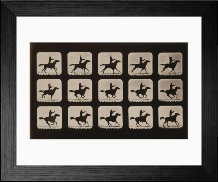Framed Print : Horses. Irregular Framed Print : Horses. Irregular
