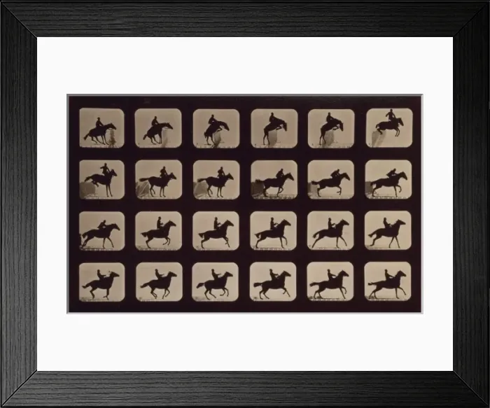 Framed Print : Horses. Leaping a 3 ft. 6 hurdle. Irregular Framed Print : Horses. Leaping a 3 ft. 6 hurdle. Irregular