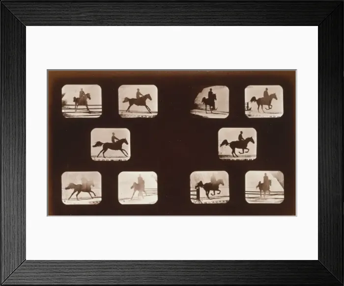 Framed Print : Horses. Leaping Framed Print : Horses. Leaping