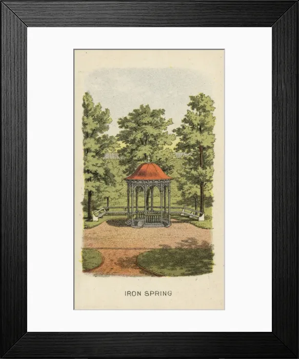 Framed Print : Iron spring Framed Print : Iron spring