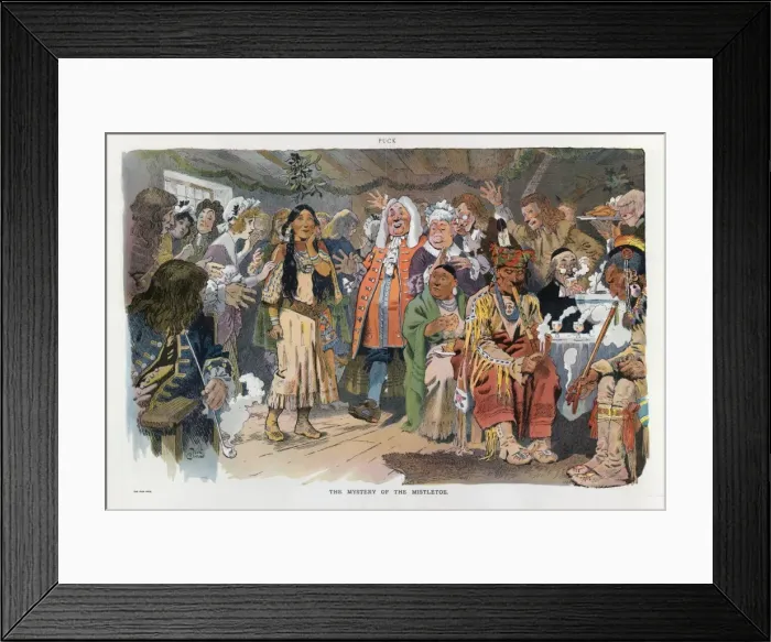 Framed Print : The mystery of the mistletoe Framed Print : The mystery of the mistletoe