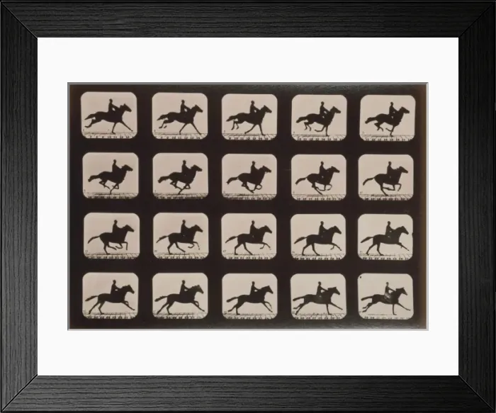 Framed Print : Horses. Running Framed Print : Horses. Running