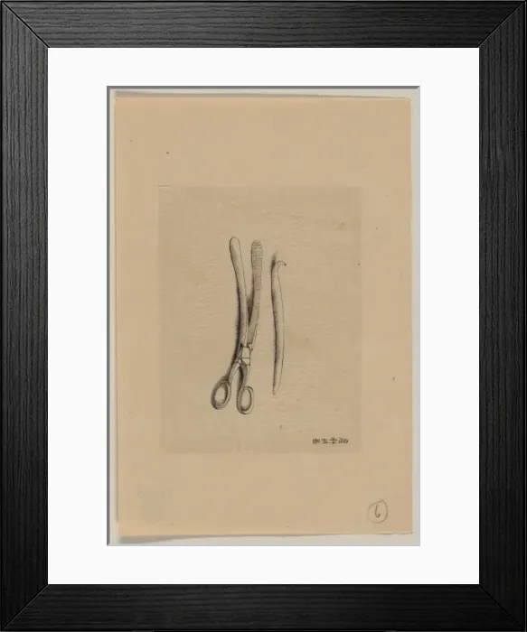 Framed Print : Scissor clamps and hooked probe? Framed Print : Scissor clamps and hooked probe?