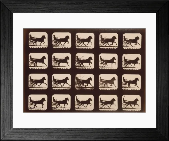 Framed Print : Horses. Pacing Framed Print : Horses. Pacing