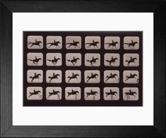 Framed Print : Horses. Leaping a 3 ft. 6 hurdle Framed Print : Horses. Leaping a 3 ft. 6 hurdle