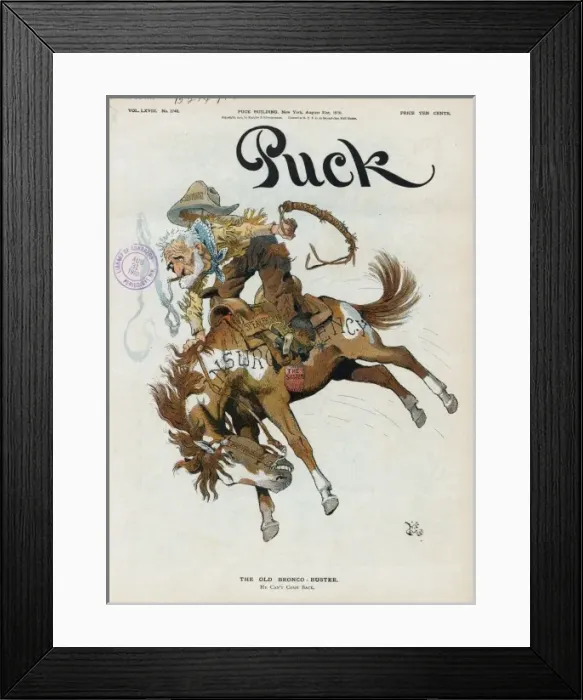 Framed Print : The old bronco-buster Framed Print : The old bronco-buster
