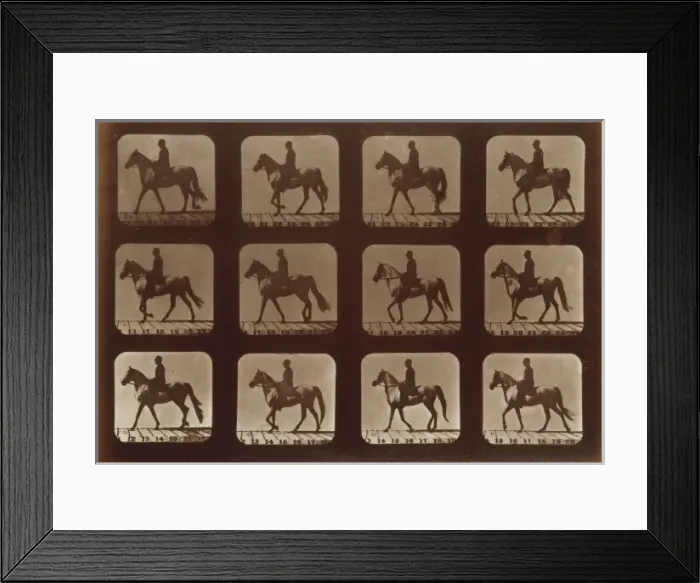 Framed Print : Horses. Walking Framed Print : Horses. Walking