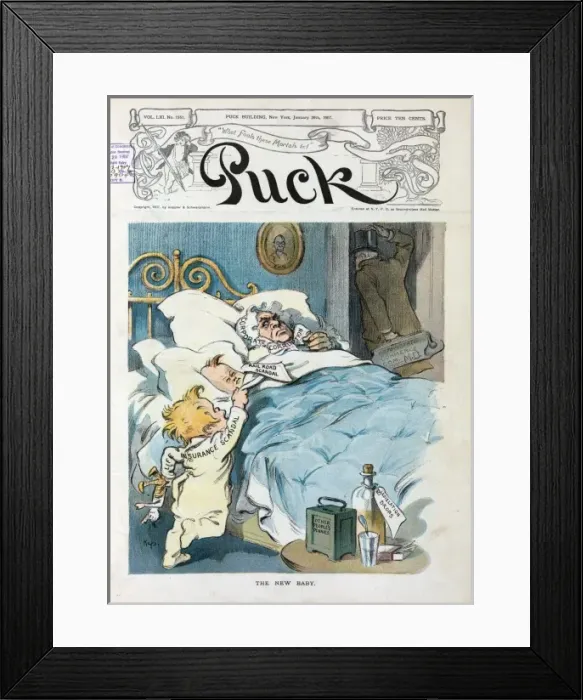 Framed Print : The new baby Framed Print : The new baby