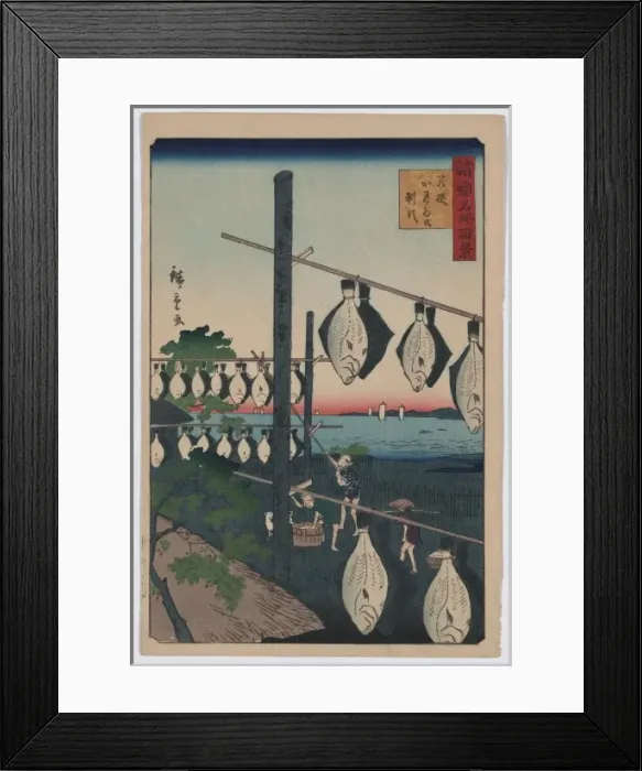 Framed Print : Conquered Wakasa dried flatfish Framed Print : Conquered Wakasa dried flatfish