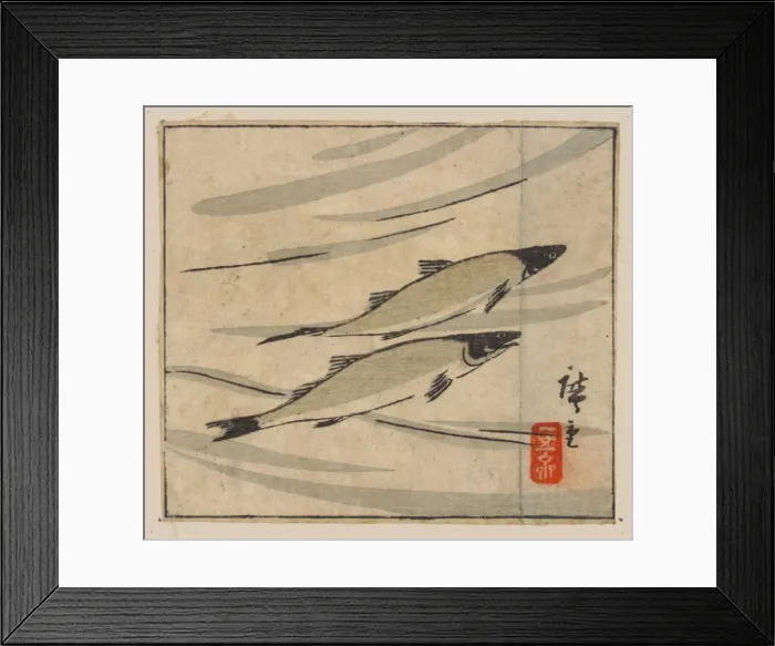 Framed Print : River trout (Ayu) Framed Print : River trout (Ayu)