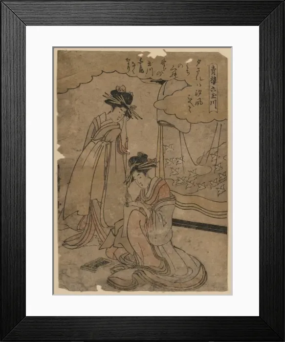 Framed Print : The Jewel River chidori Framed Print : The Jewel River chidori