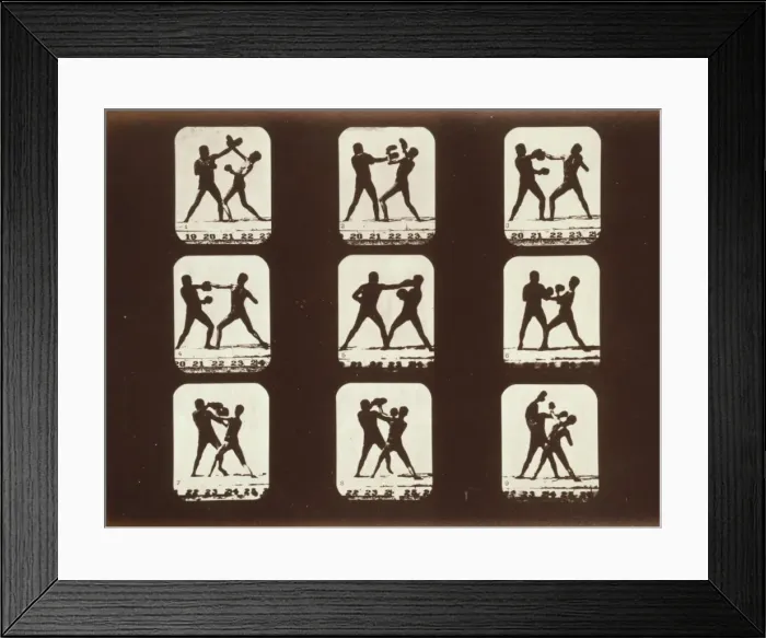 Framed Print : Athletes. Boxing Framed Print : Athletes. Boxing