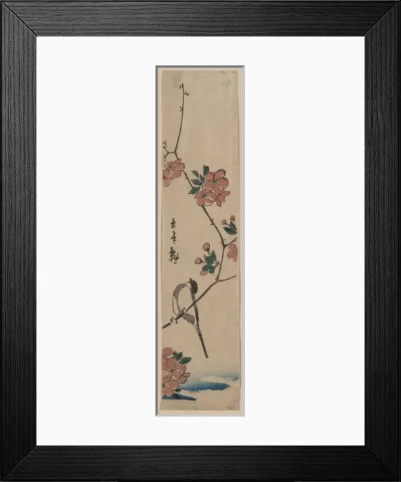 Framed Print : Small bird on a branch of Kaidozakura Framed Print : Small bird on a branch of Kaidozakura
