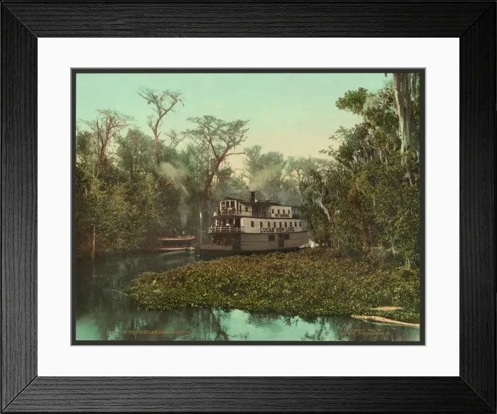Framed Print : On the Ocklawaha, Florida Framed Print : On the Ocklawaha, Florida