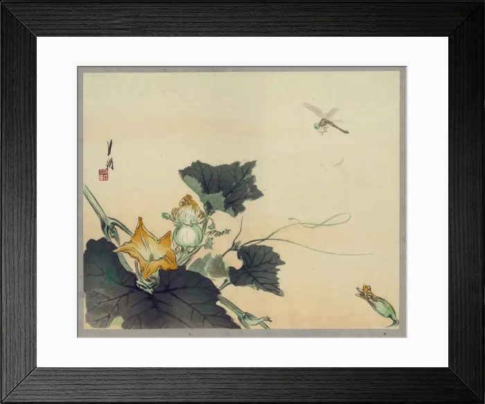 Framed Print : Dragonfly and pumpkin Framed Print : Dragonfly and pumpkin