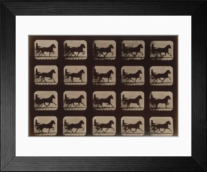 Framed Print : Horses. Pacing Framed Print : Horses. Pacing
