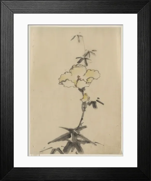 Framed Print : Yellow blossom with bud on a stalk above leaves Framed Print : Yellow blossom with bud on a stalk above leaves