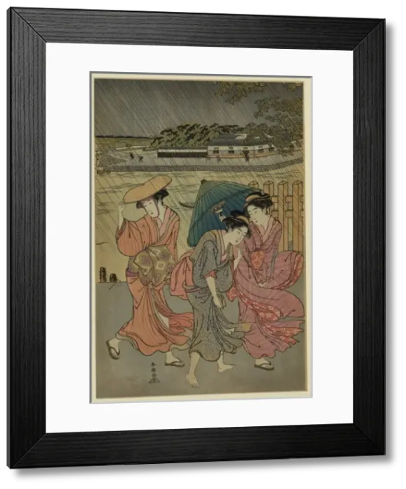 Framed Print : Three beauties in the rain Framed Print : Three beauties in the rain