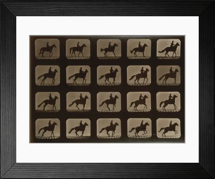 Framed Print : Horses. Irregular Framed Print : Horses. Irregular