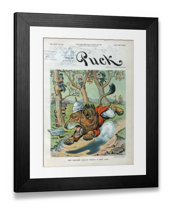 Framed Print : The hunters didn t expect a live lion Framed Print : The hunters didn t expect a live lion