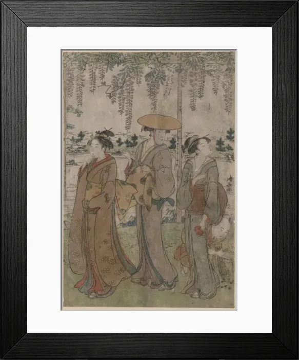 Framed Print : Three beauties beneath wisteria Framed Print : Three beauties beneath wisteria