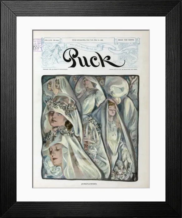 Framed Print : June flowers Framed Print : June flowers
