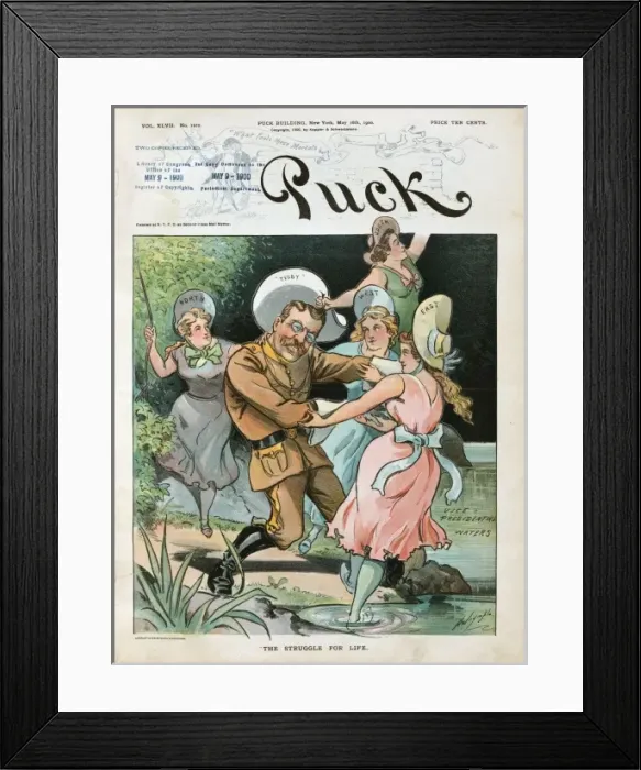 Framed Print : The struggle for life Framed Print : The struggle for life