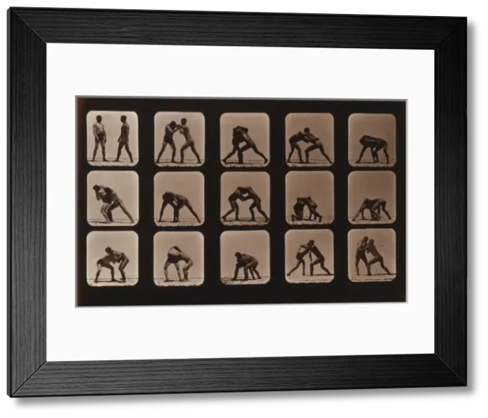 Framed Print : Athletes. Wrestling Framed Print : Athletes. Wrestling