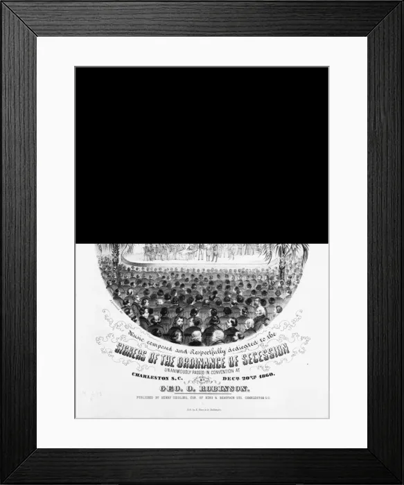 Framed Print : The Palmetto State song Framed Print : The Palmetto State song