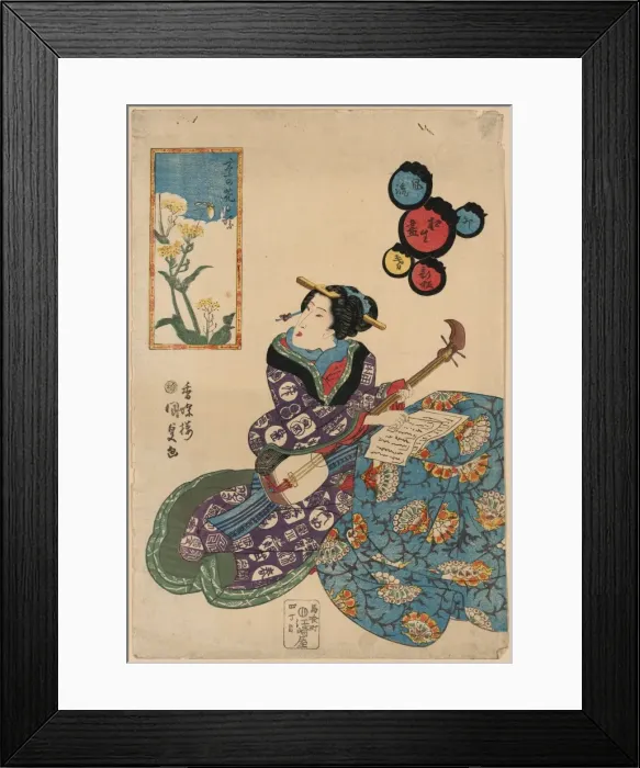 Framed Print : Butterfly on rape blossoms nanohana Framed Print : Butterfly on rape blossoms nanohana