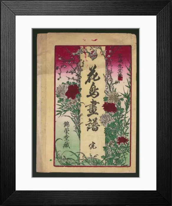 Framed Print : Botanical book illustration (or possibly at one time an enve Framed Print : Botanical book illustration (or possibly at one time an enve