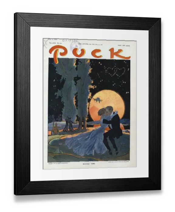 Framed Print : Mating time Framed Print : Mating time