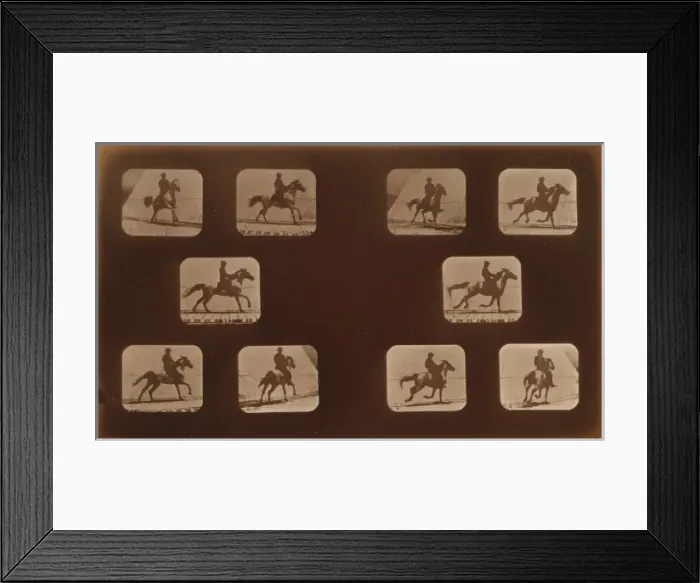 Framed Print : Horses. Running Framed Print : Horses. Running