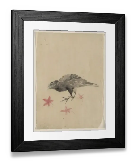 Framed Print : A bird, possibly crow or raven, facing left, standing among Framed Print : A bird, possibly crow or raven, facing left, standing among