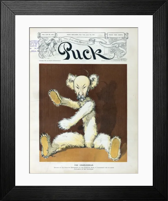 Framed Print : The charliebear Framed Print : The charliebear