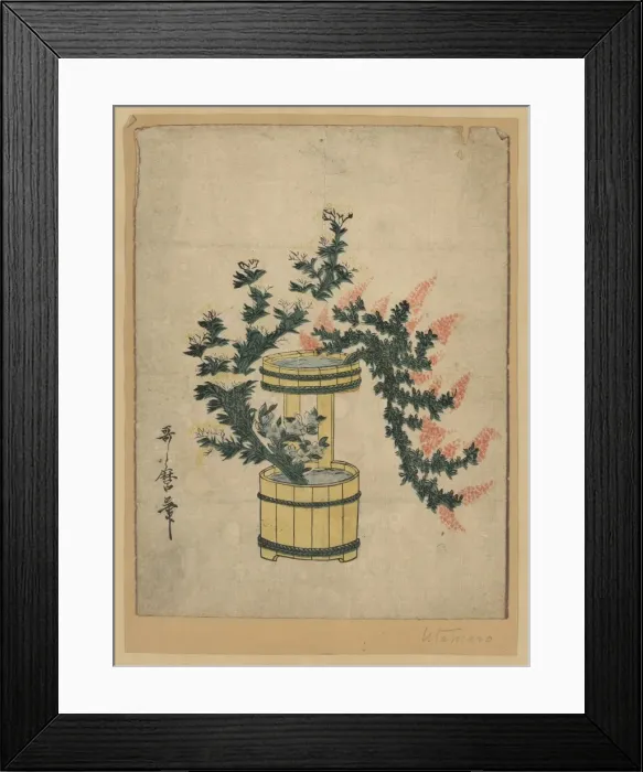 Framed Print : Potted autumn grasses and Rikka Framed Print : Potted autumn grasses and Rikka