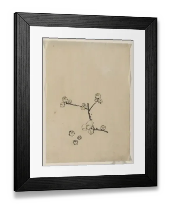 Framed Print : A tree branch with blossoms Framed Print : A tree branch with blossoms