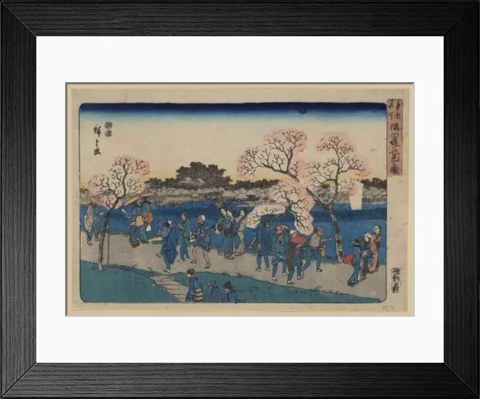 Framed Print : Viewing cherry blossoms along the Sumida River Framed Print : Viewing cherry blossoms along the Sumida River