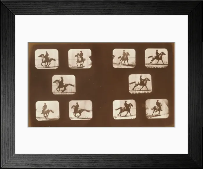 Framed Print : Horses. Running Framed Print : Horses. Running